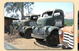 Our other 40's Chevy COE trucks